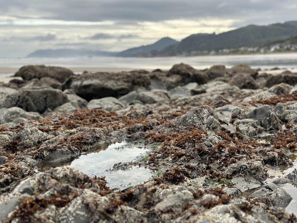 a close up of rocks and water on a beach