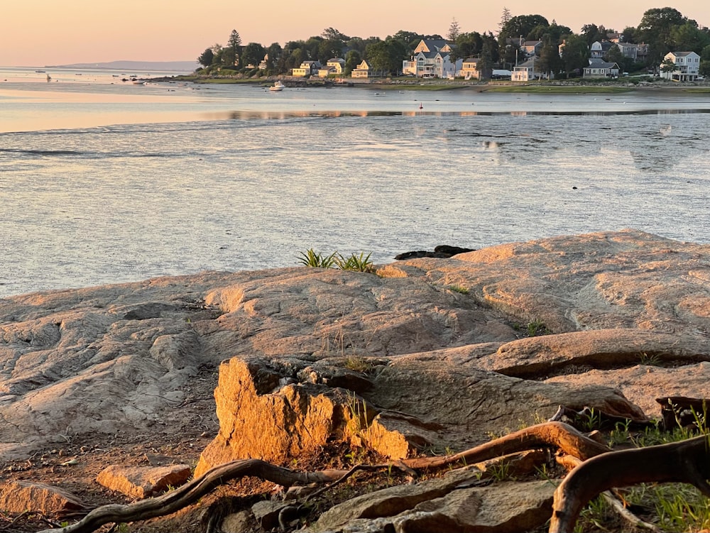 a body of water surrounded by rocks and trees