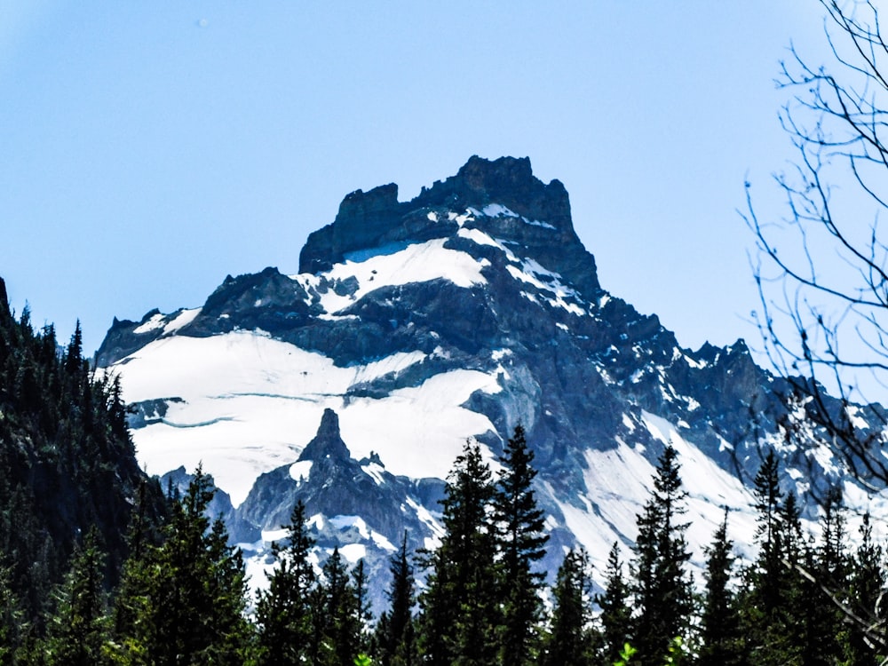 a snow covered mountain with trees in the foreground