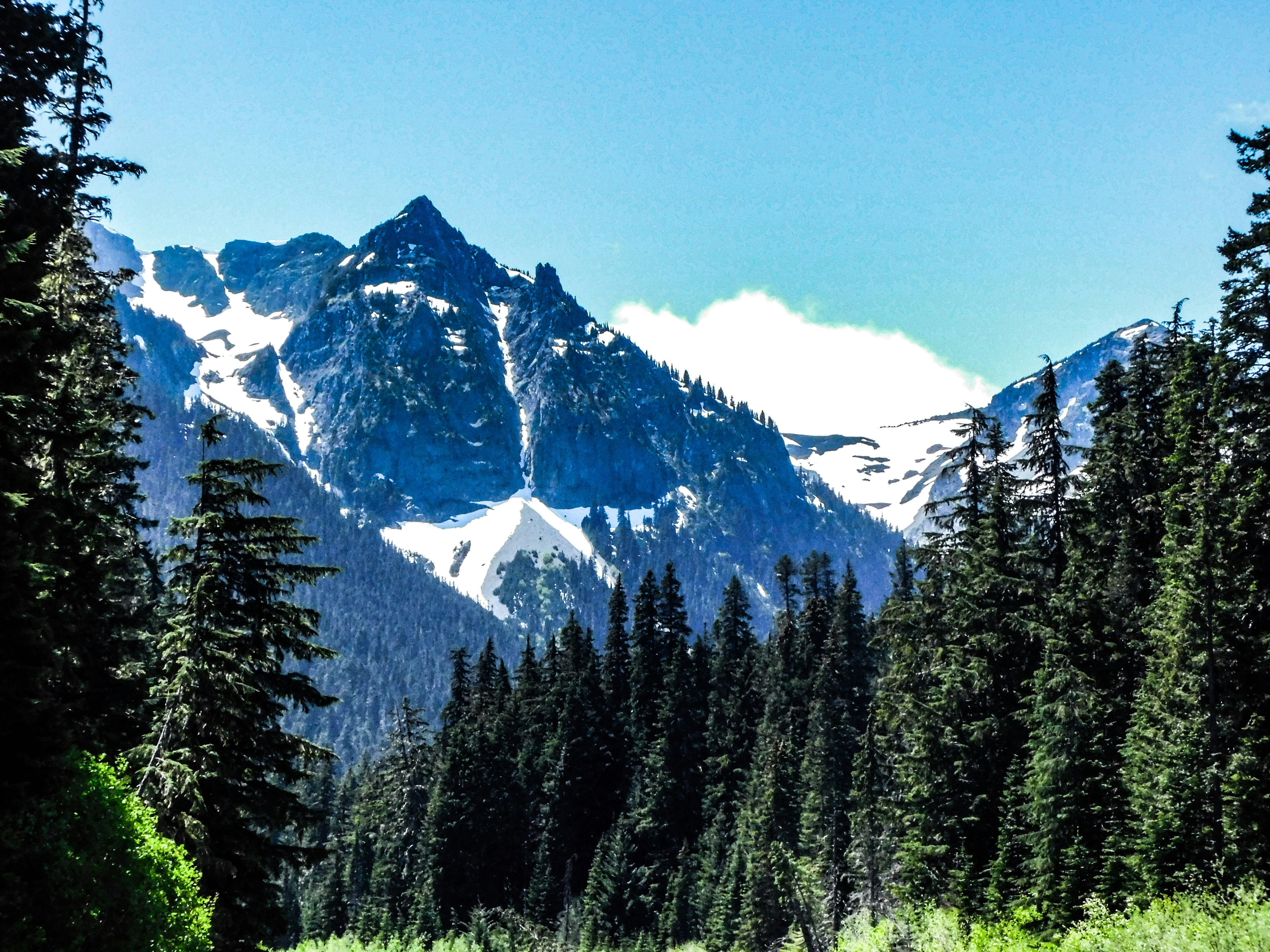 Photo by prphotography262