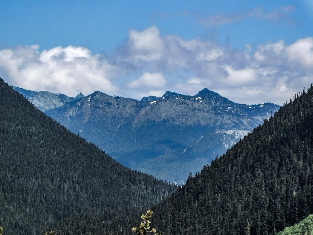 a view of a mountain range with trees in the foreground