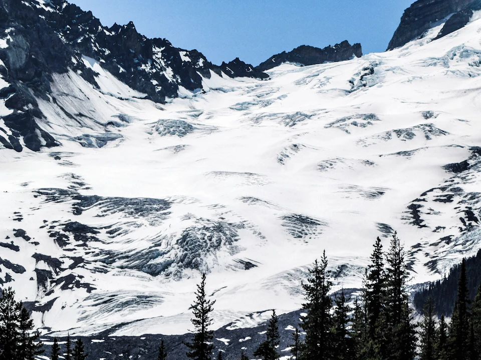 The image depicts a majestic mountain range with snow-capped peaks and a clear blue sky above. The mountains are covered in white snow, creating a stunning contrast against the azure backdrop. In the foreground, there is a dense forest filled with tall trees that add depth to the scene. The perspective of the photo is from below, looking up at the towering mountains, which enhances their grandeur and emphasizes their impressive height.