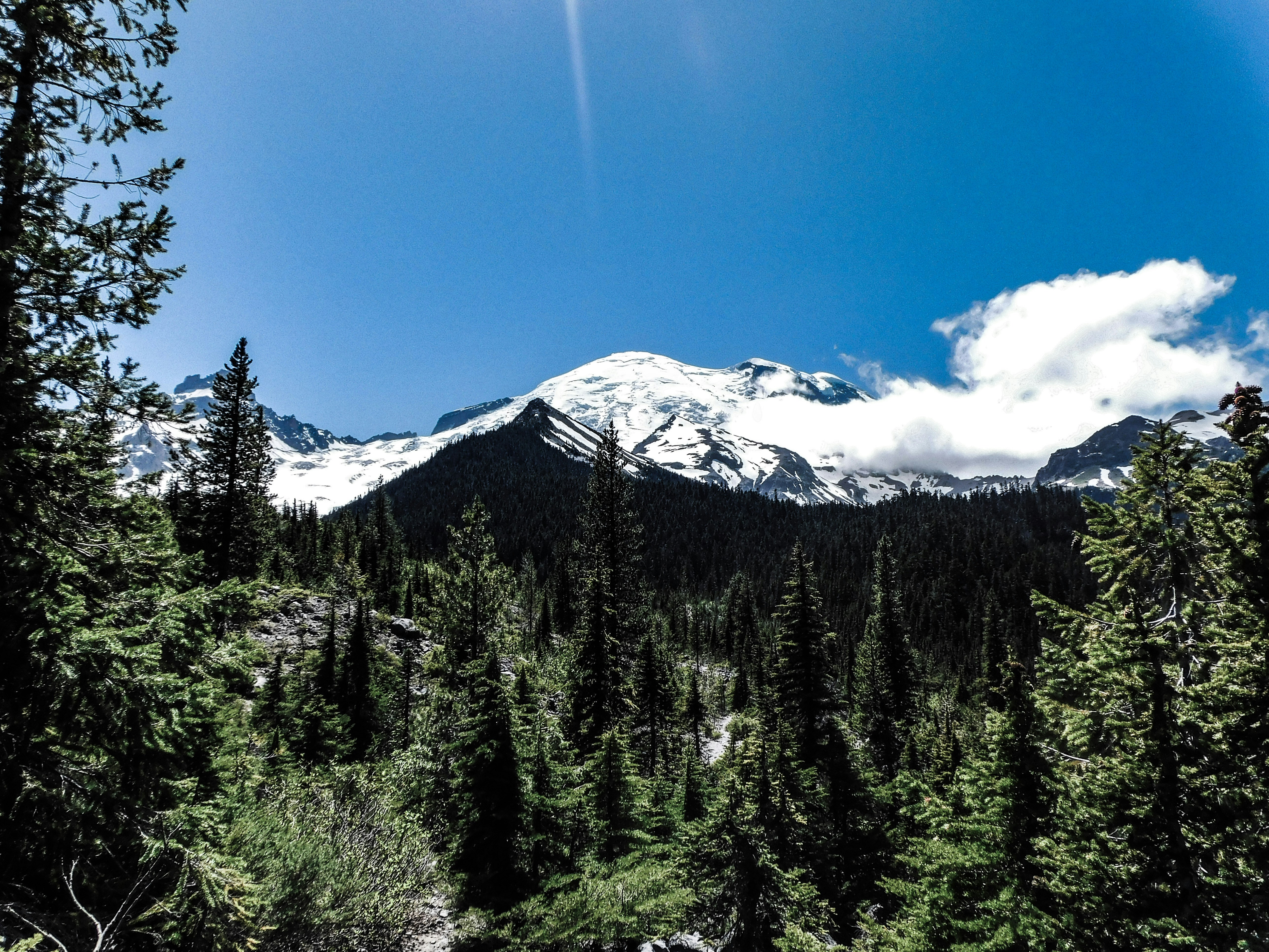 Photo by prphotography262