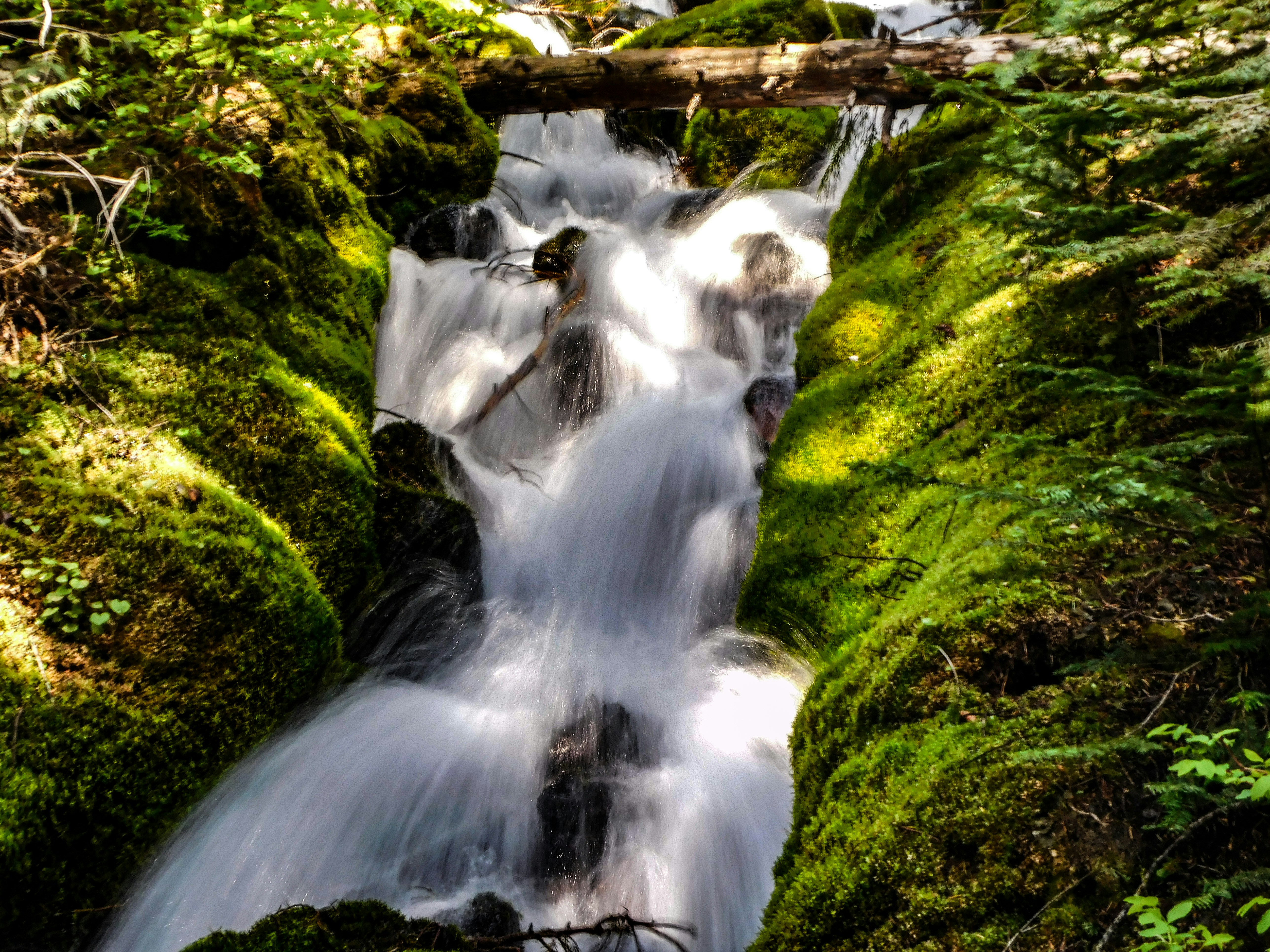 Photo by prphotography262