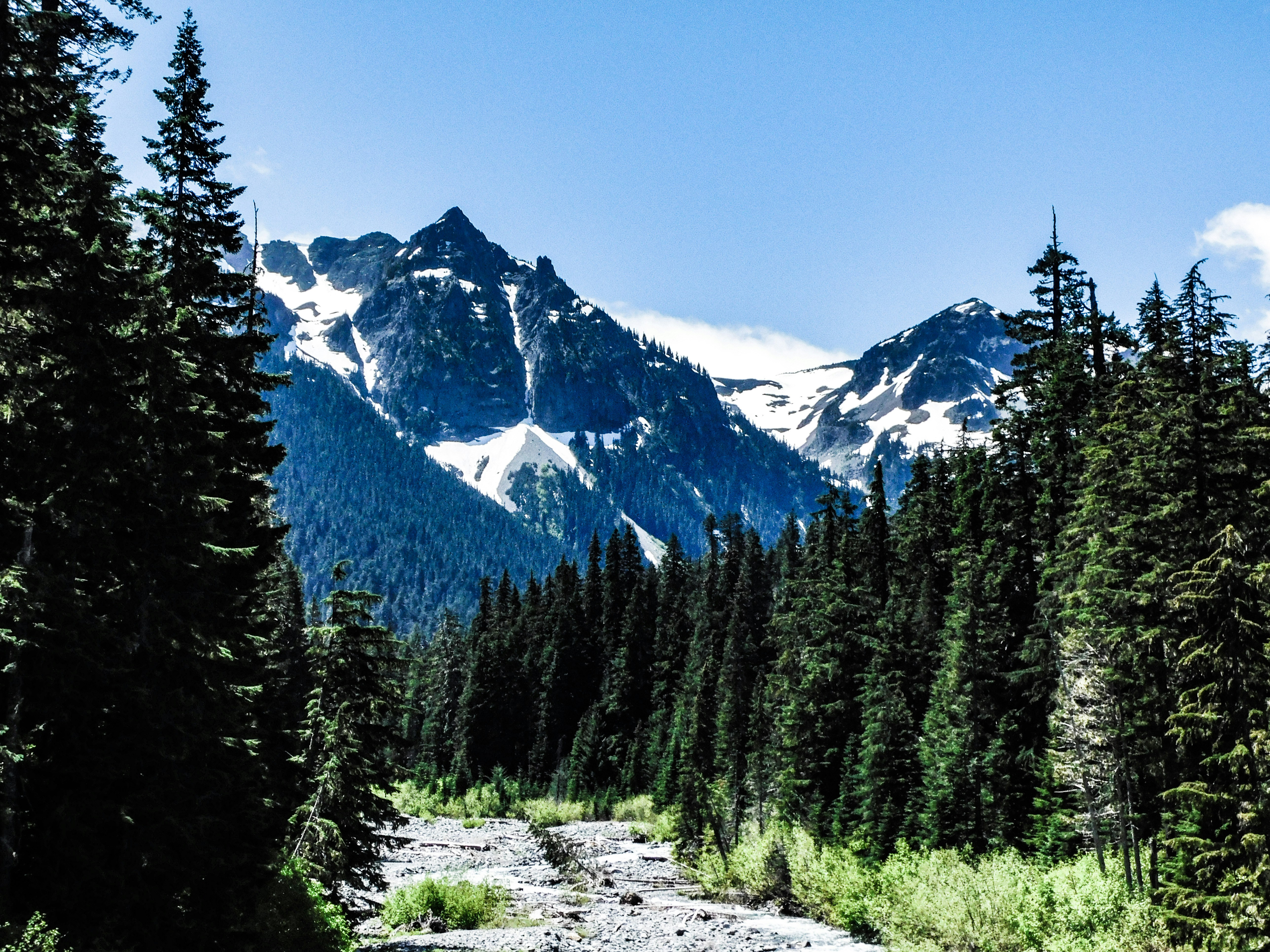 Photo by prphotography262