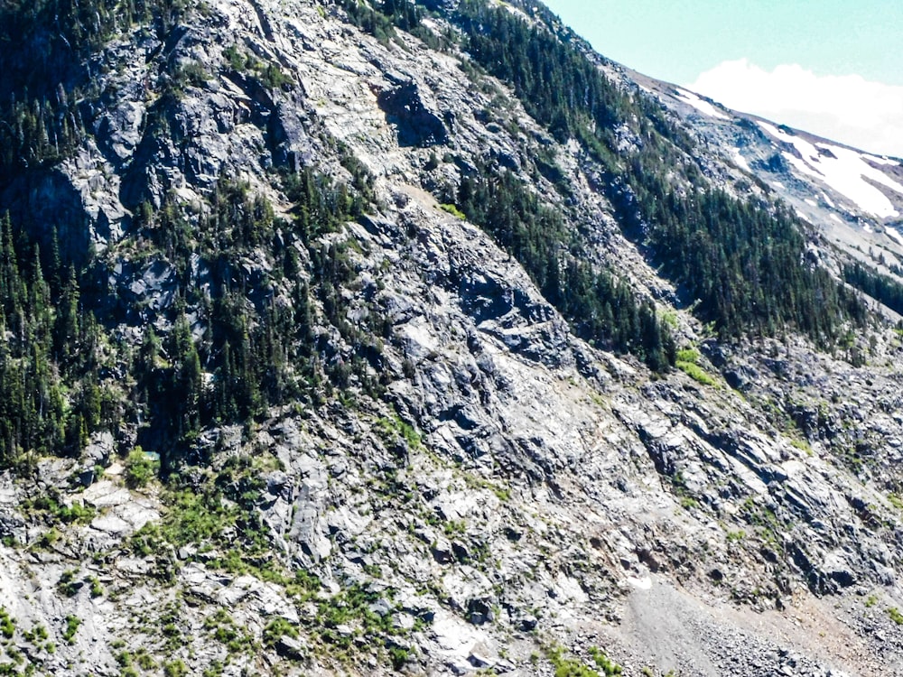 a very tall mountain with lots of trees on it