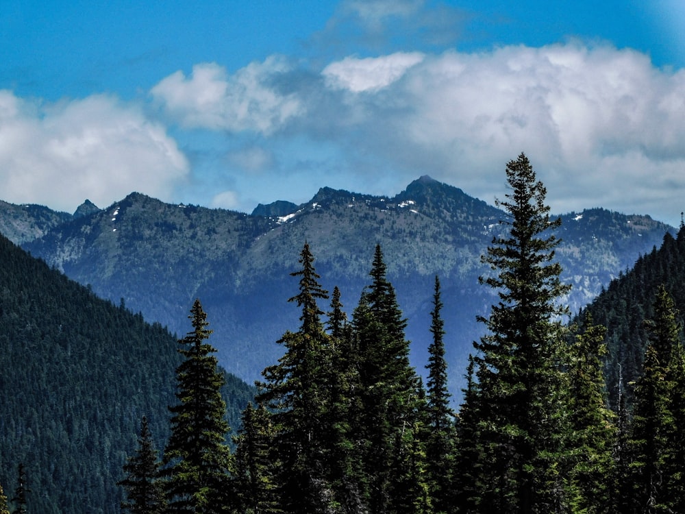 a view of a mountain range with trees in the foreground