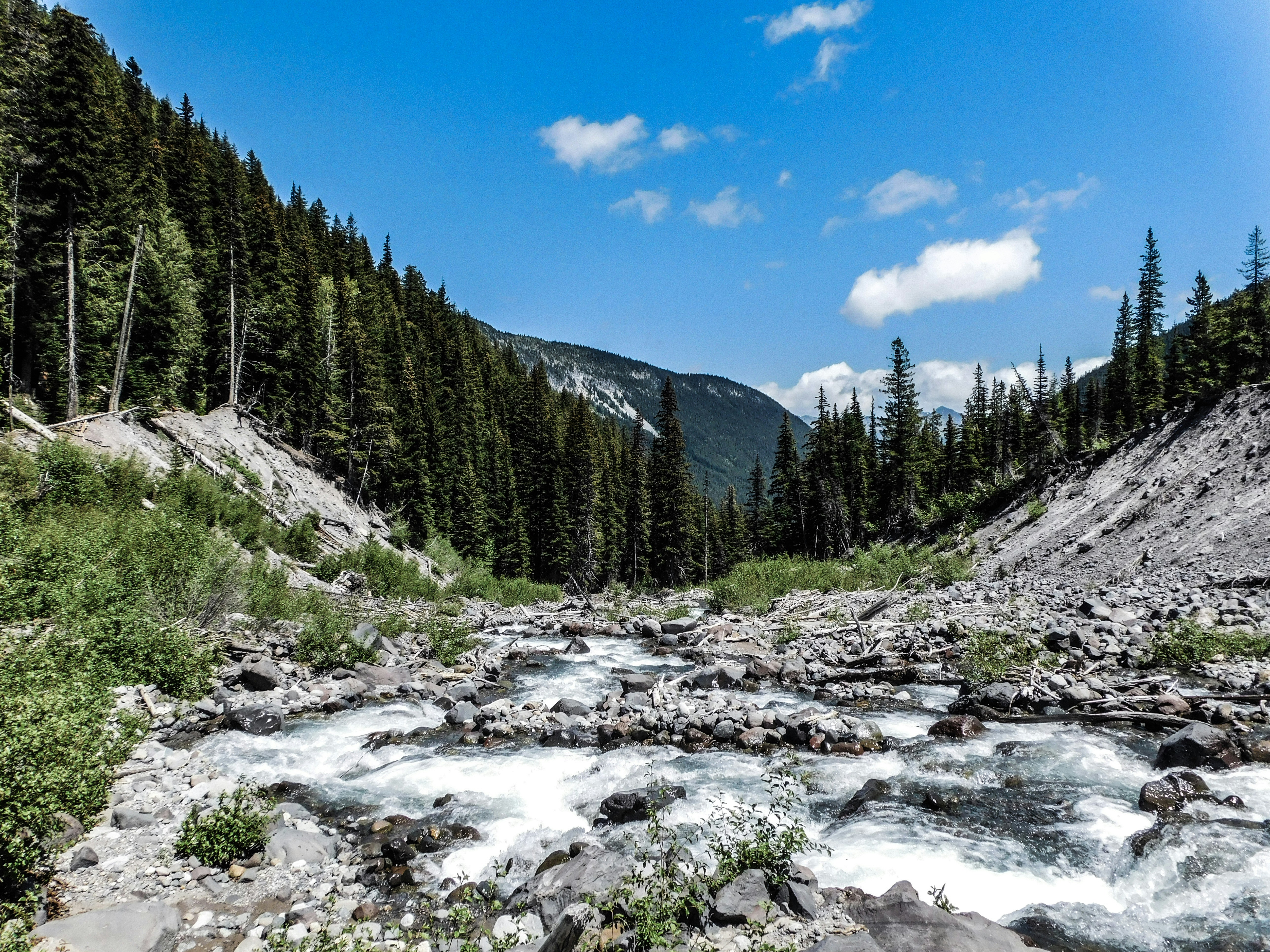 Photo by prphotography262