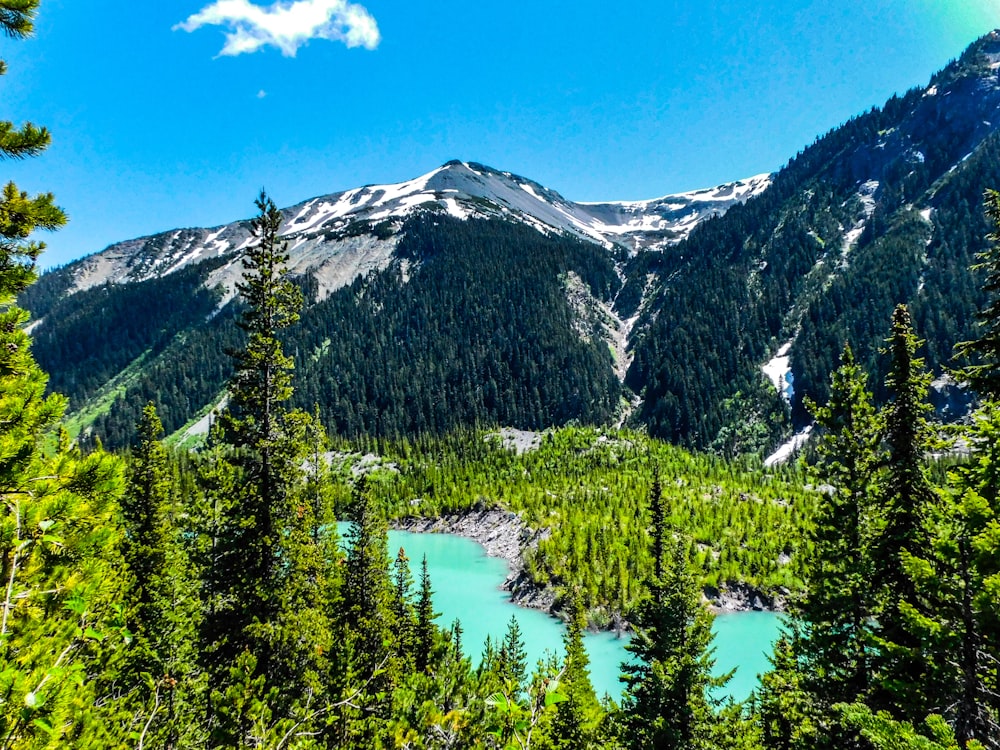 a view of a mountain lake surrounded by trees