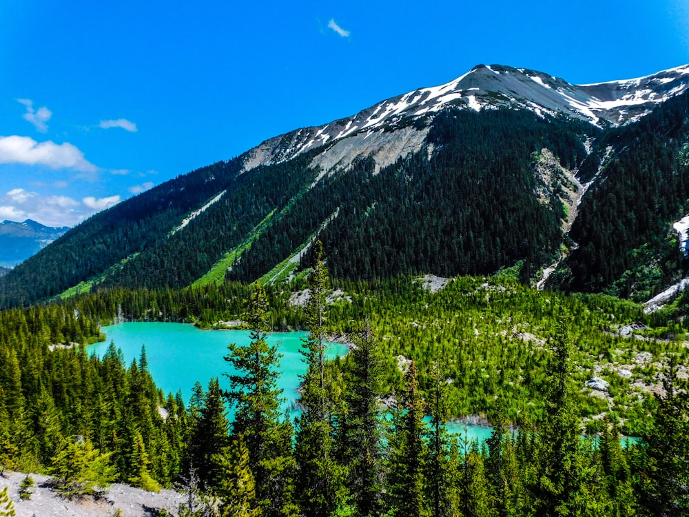 a mountain with a lake surrounded by trees