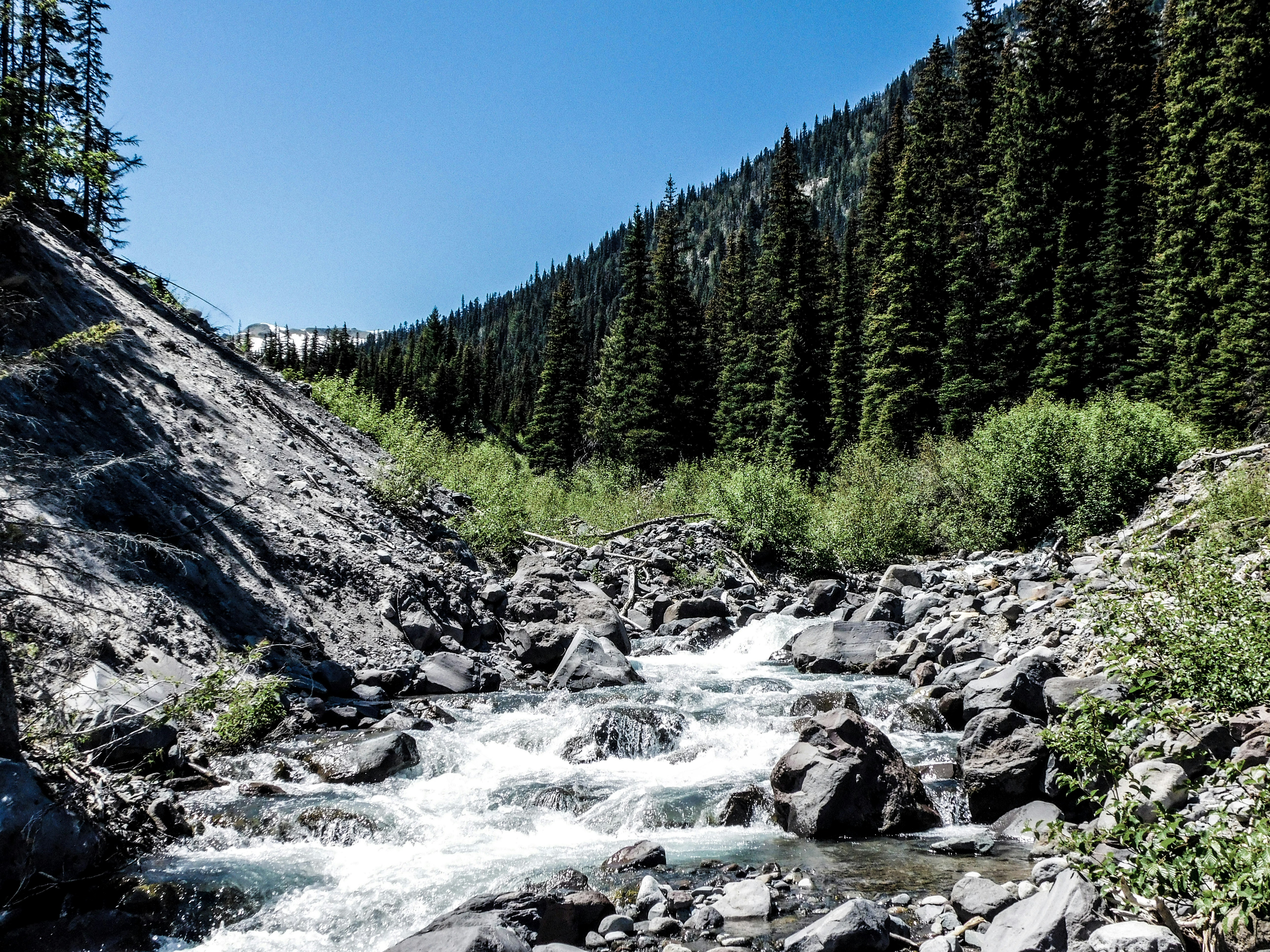 Photo by prphotography262