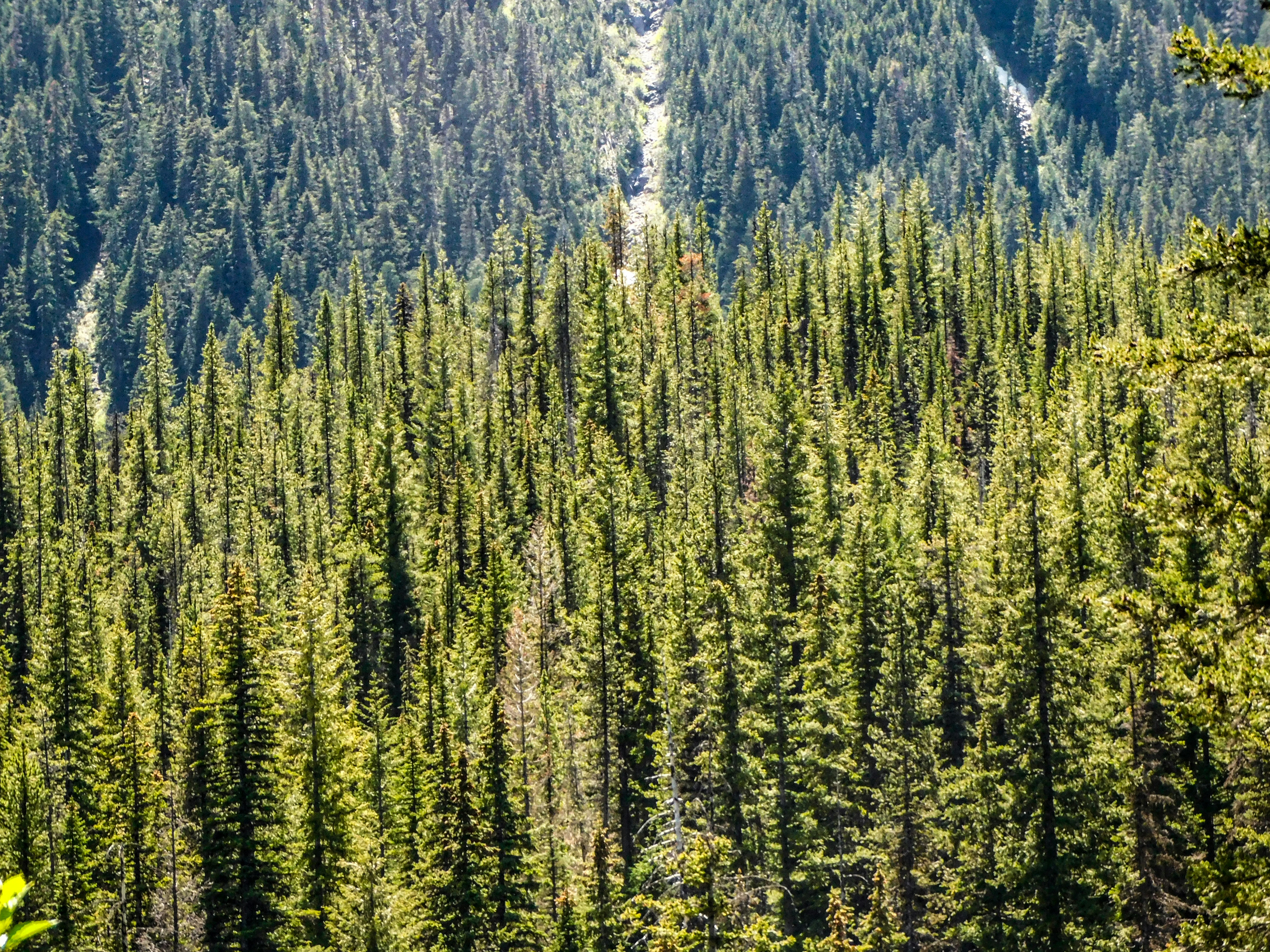 Photo by prphotography262