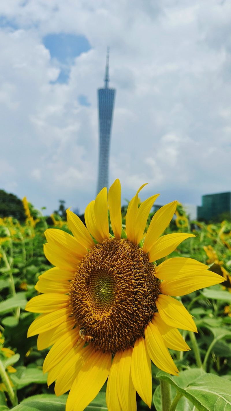 Baihe (Hundred Thousand Roses) Garden