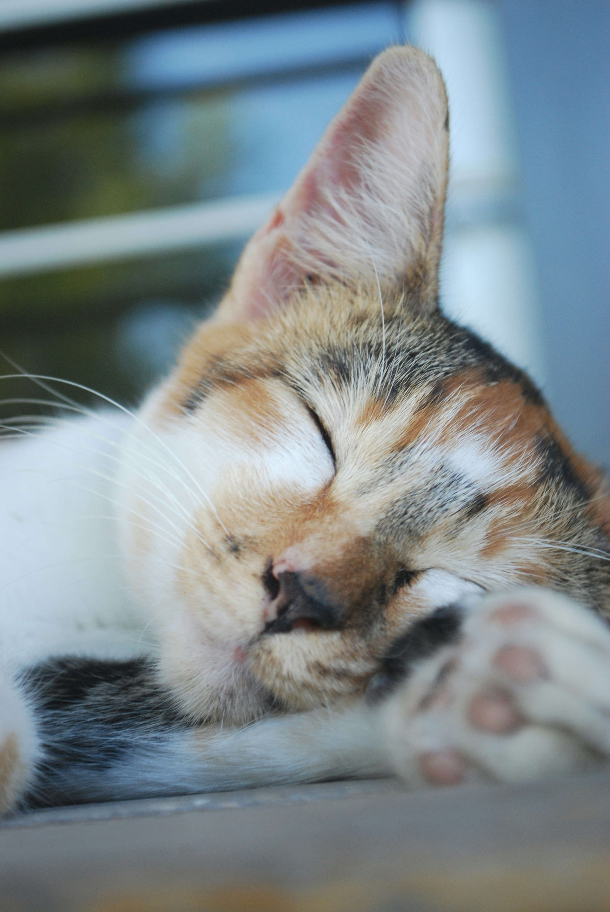 Photo by agathatesalonika