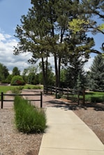 A freshly paved walkway bordered by a wooden privacy fence and greenery.