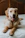 A smiling woman cuddling her golden retriever on a plush pet bed in a sunlit living room.