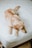 A golden retriever dog lies comfortably on a white, textured bed. The dog appears relaxed, with its head resting on the edge and its eyes looking to the side. The room has a cozy feel, with a woven rug partially visible underneath the bed.