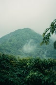 a green mountain covered in fog and clouds