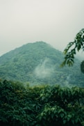a green mountain covered in fog and clouds