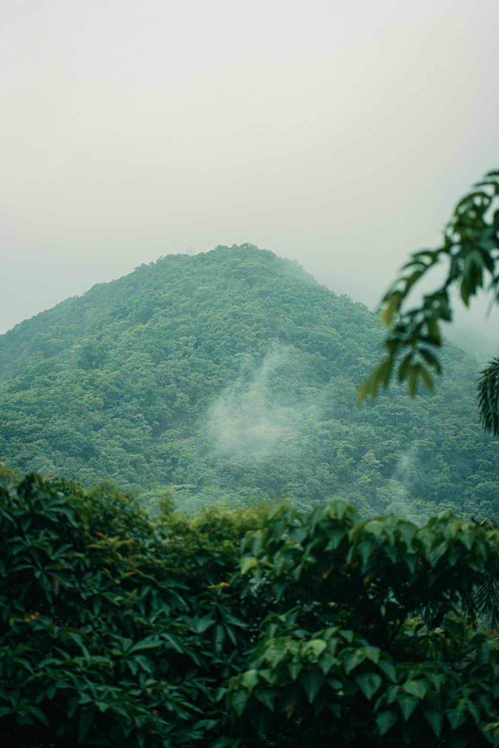 a green mountain covered in fog and clouds