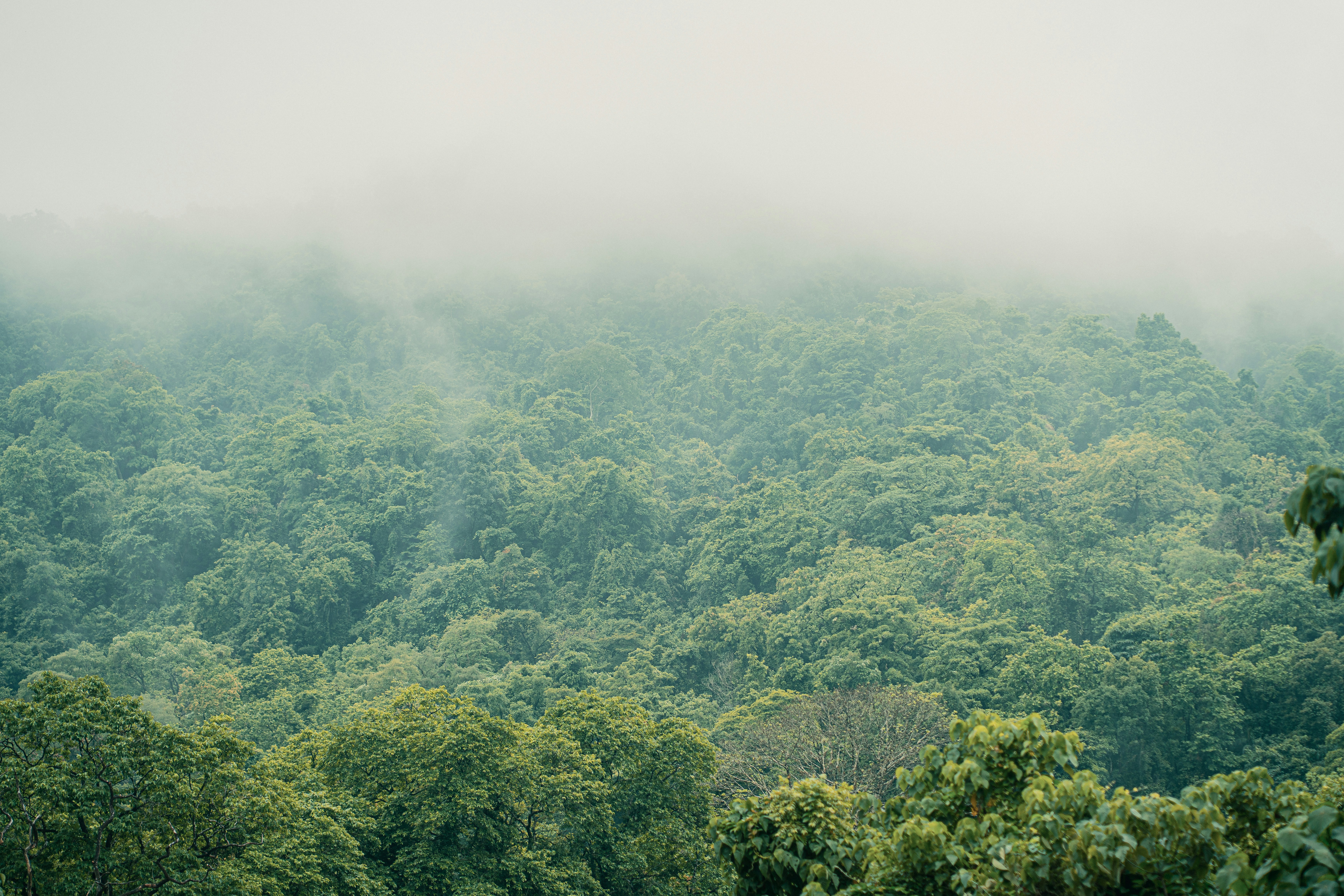 Photo by its_arunprakash