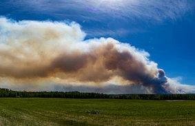 a large plume of smoke billows into the sky