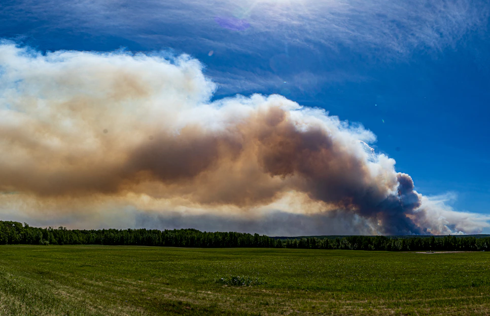a large plume of smoke billows into the sky