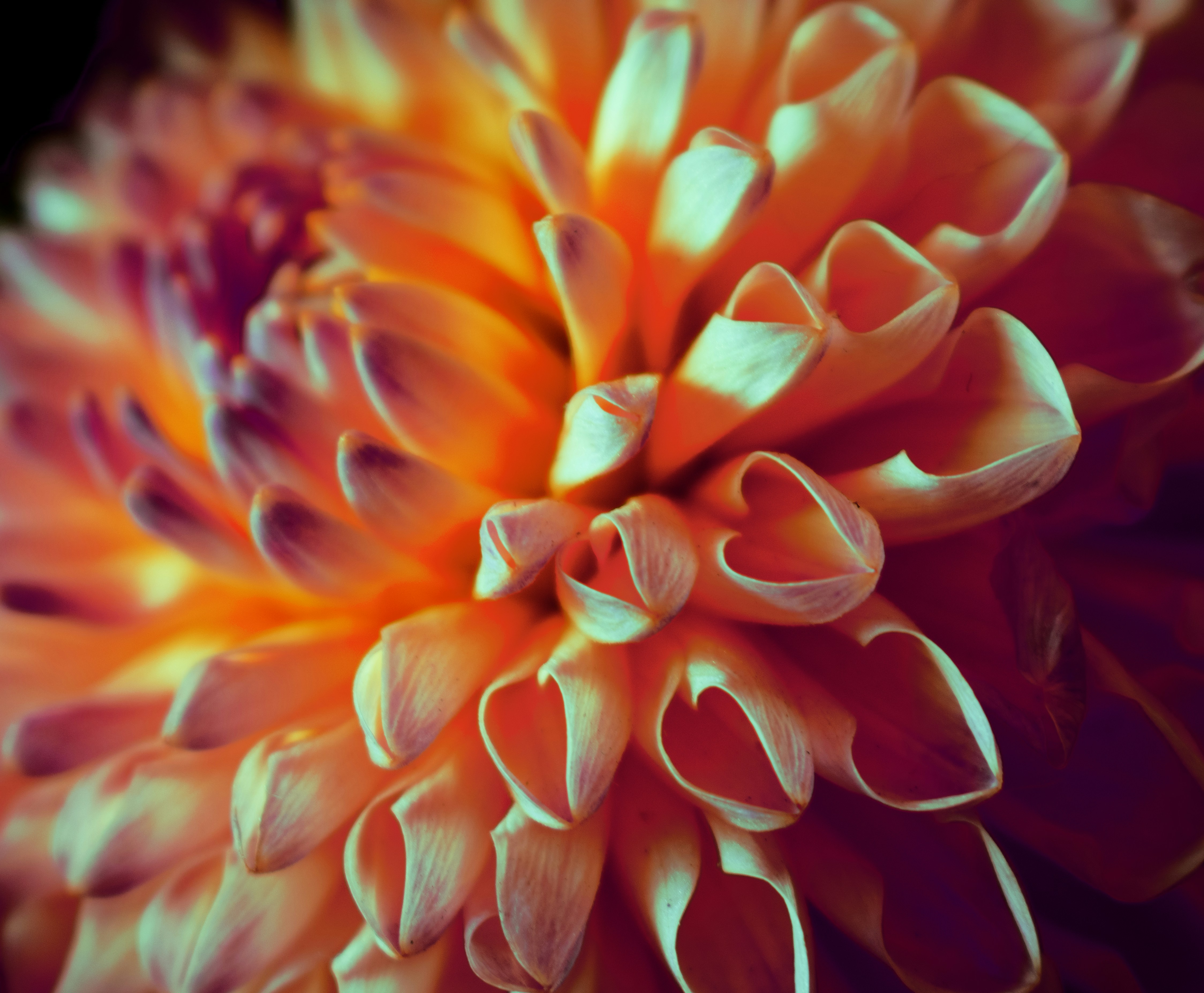 Photo by milavasileva