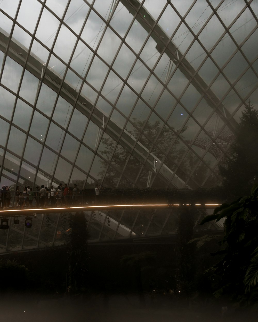 a view of a building through a glass roof