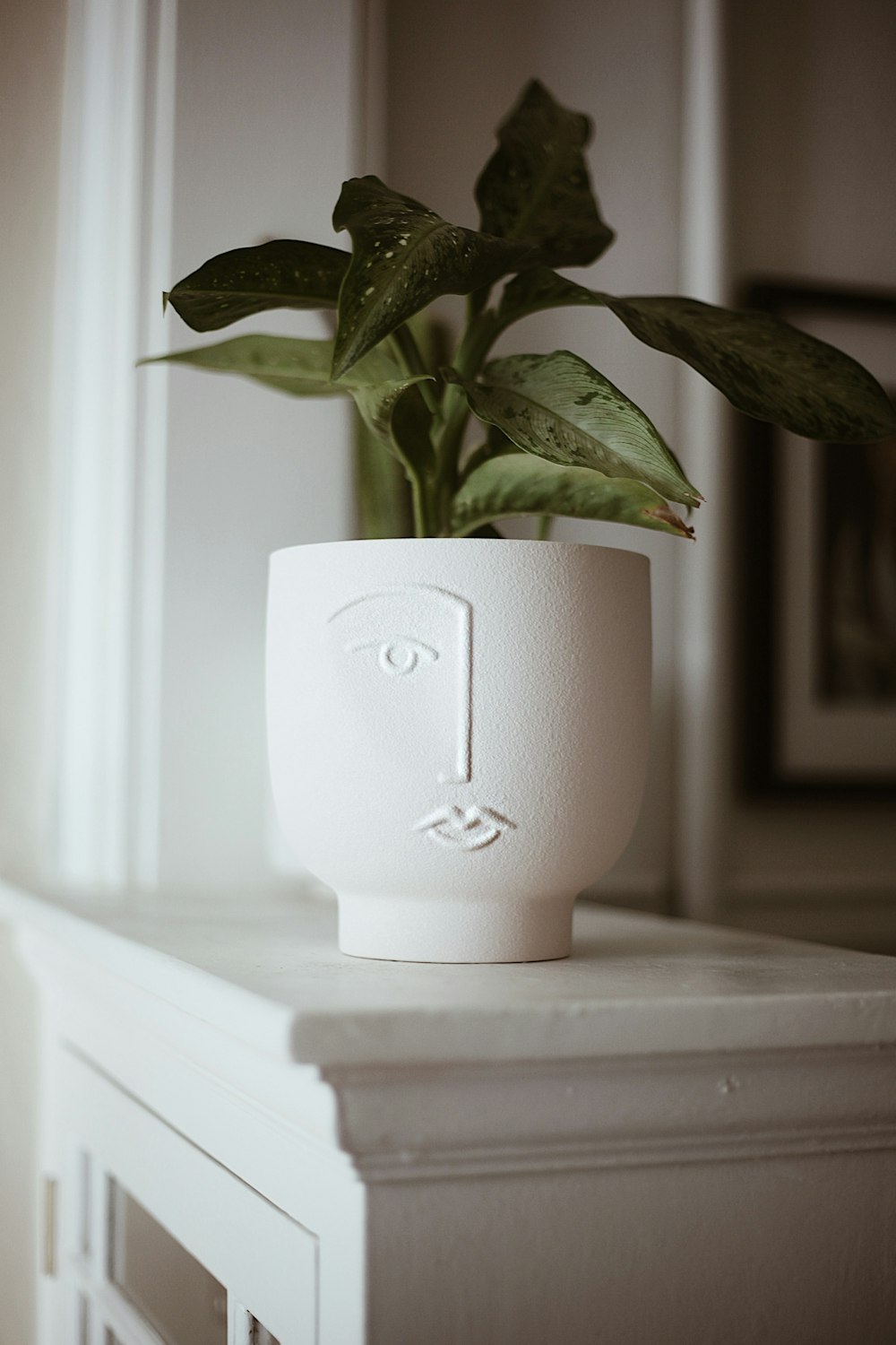 une plante en pot posée sur une table blanche
