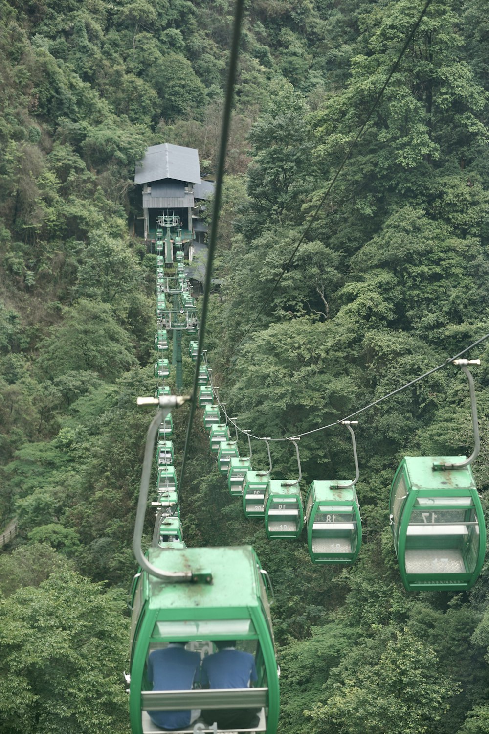 a green cable car going through a forest