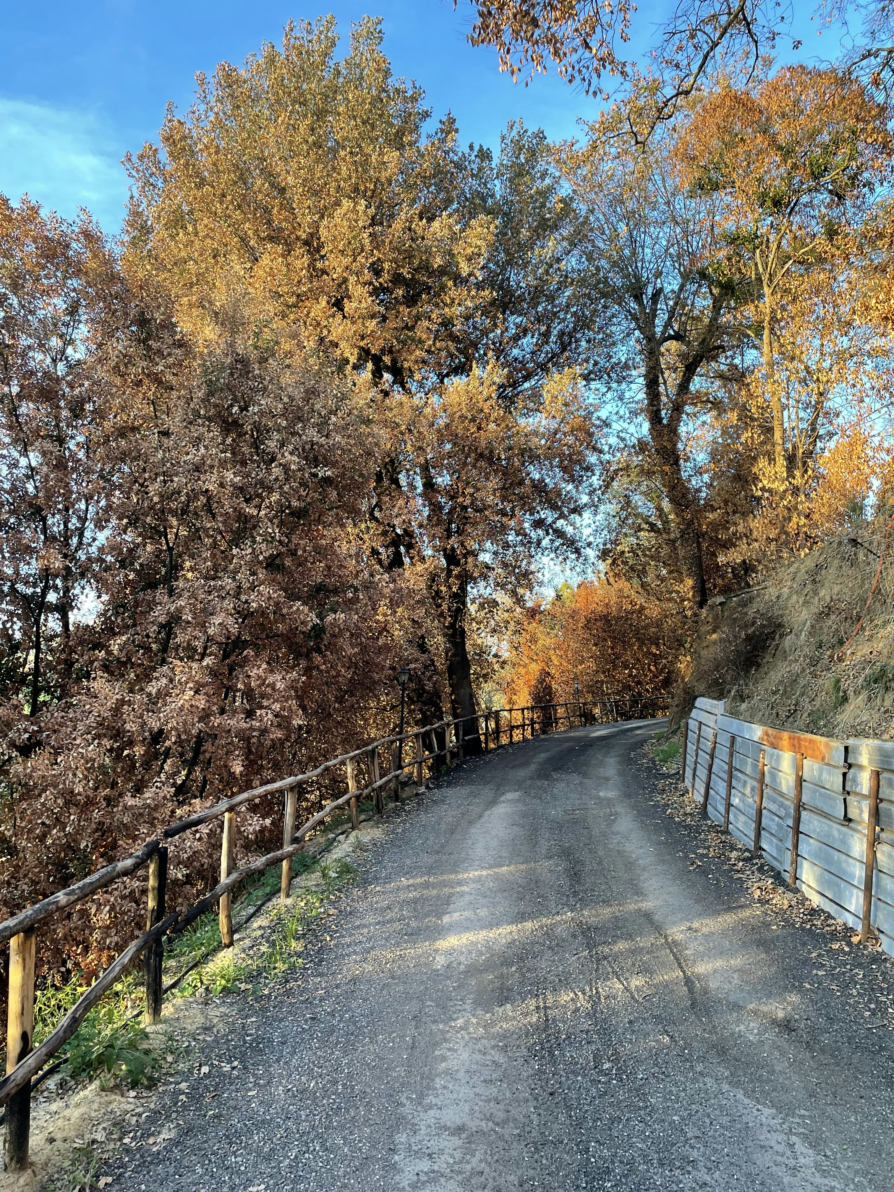 Photo by mejiadiegom