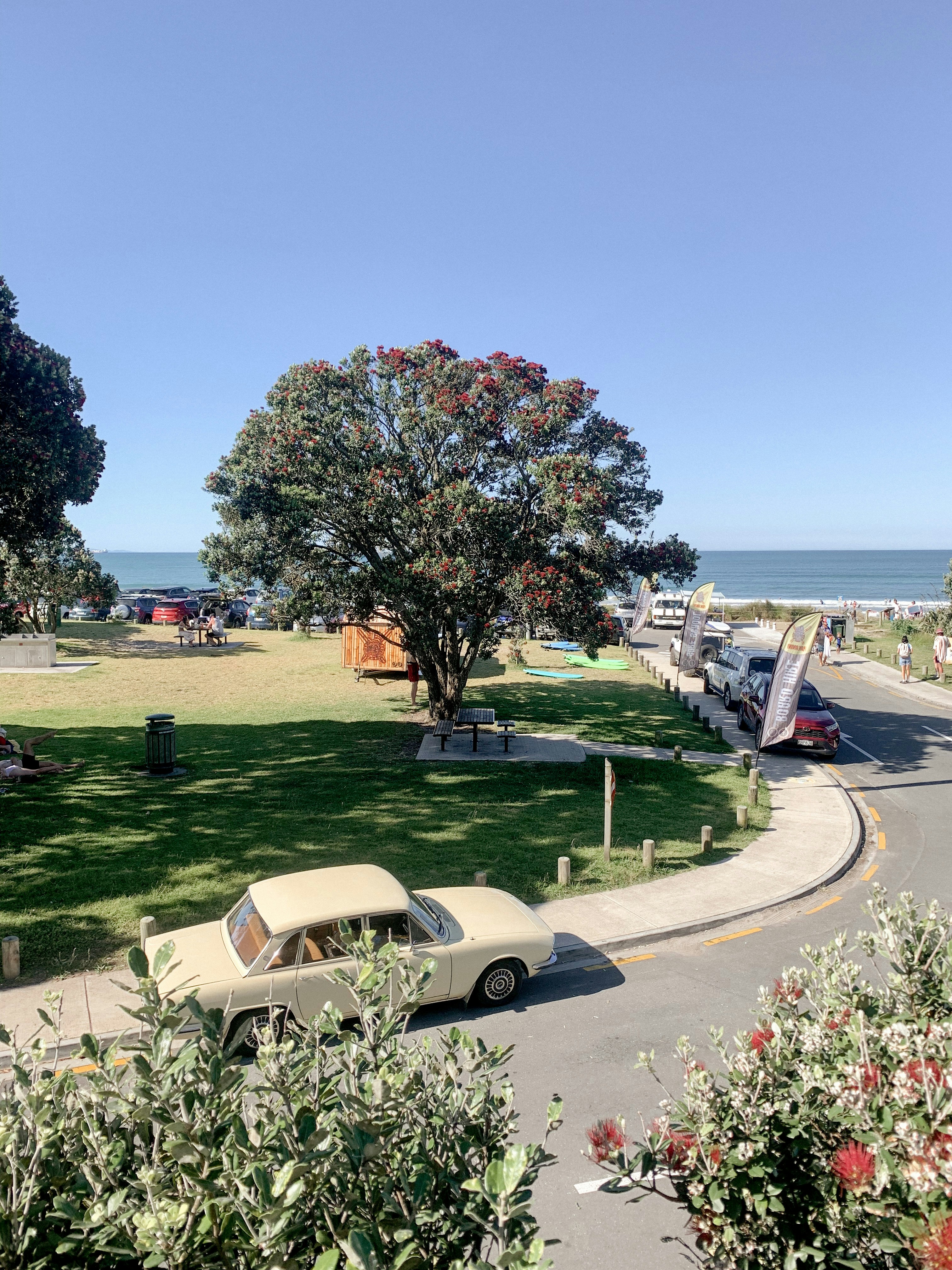a car parked on the side of a road next to a lush green field