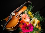 A violin rests on a black surface surrounded by a vibrant bouquet of gerbera daisies in various colors, including pink, orange, yellow, and white. Green foliage complements the flowers and contrasts with the dark background, highlighting the polished wood and strings of the violin.