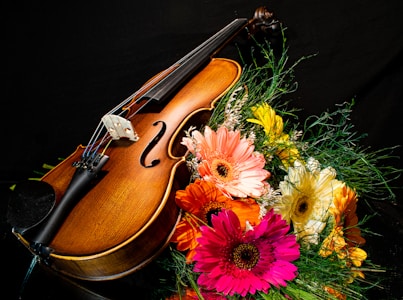 A violin rests on a black surface surrounded by a vibrant bouquet of gerbera daisies in various colors, including pink, orange, yellow, and white. Green foliage complements the flowers and contrasts with the dark background, highlighting the polished wood and strings of the violin.