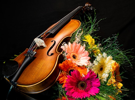 A violin rests on a black surface surrounded by a vibrant bouquet of gerbera daisies in various colors, including pink, orange, yellow, and white. Green foliage complements the flowers and contrasts with the dark background, highlighting the polished wood and strings of the violin.