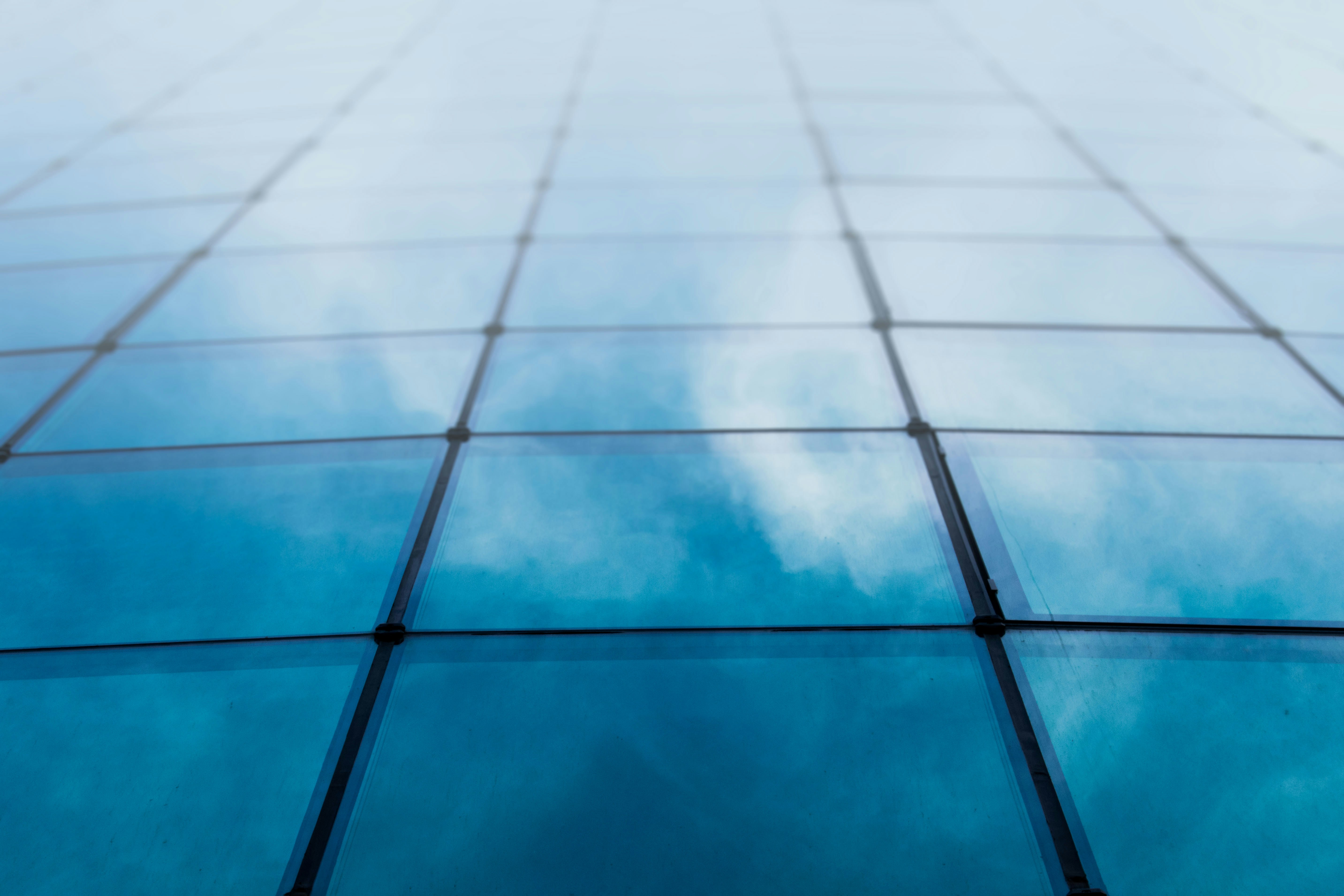 Photo by milavasileva