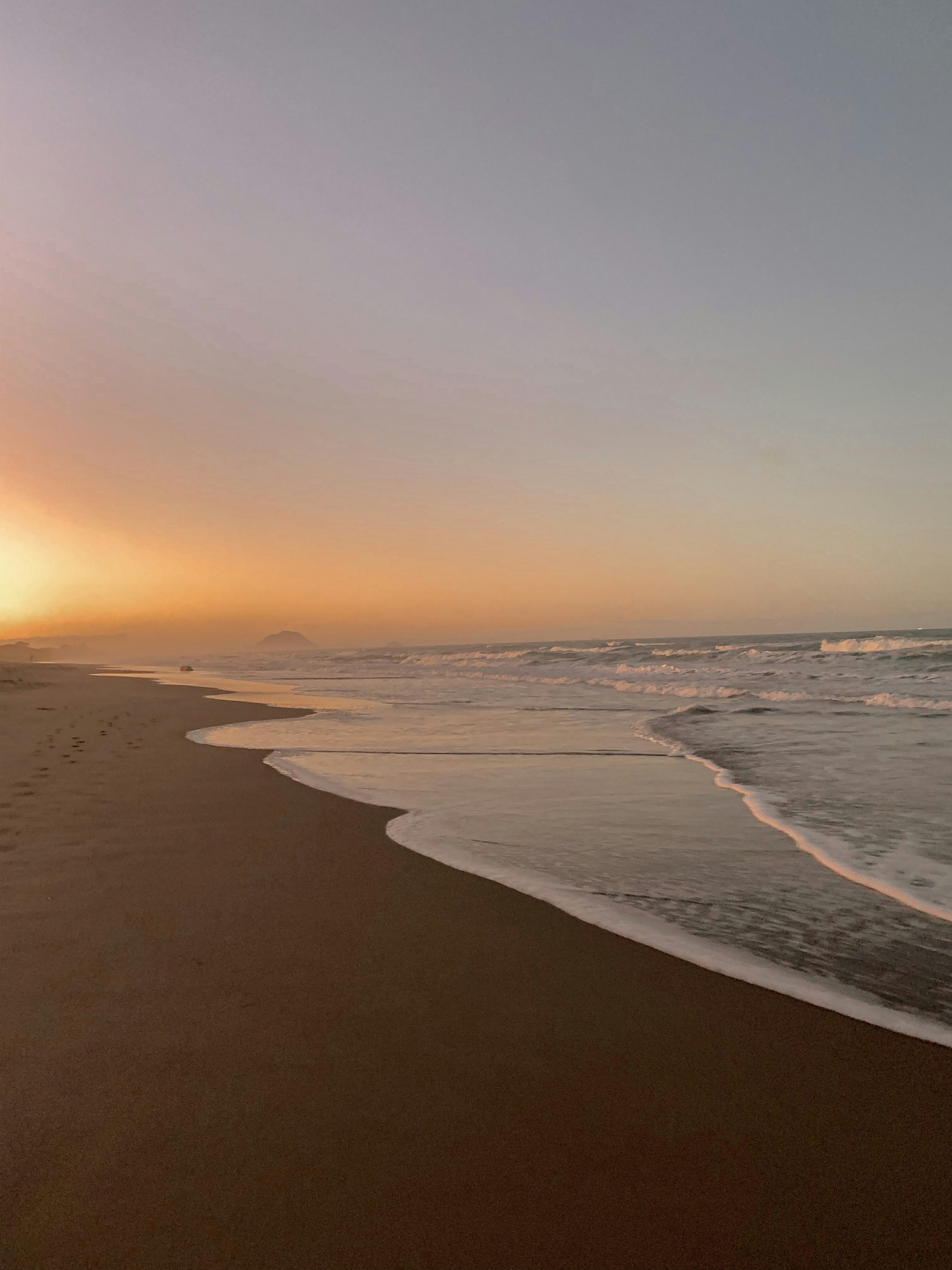 Photo by fleursmithson