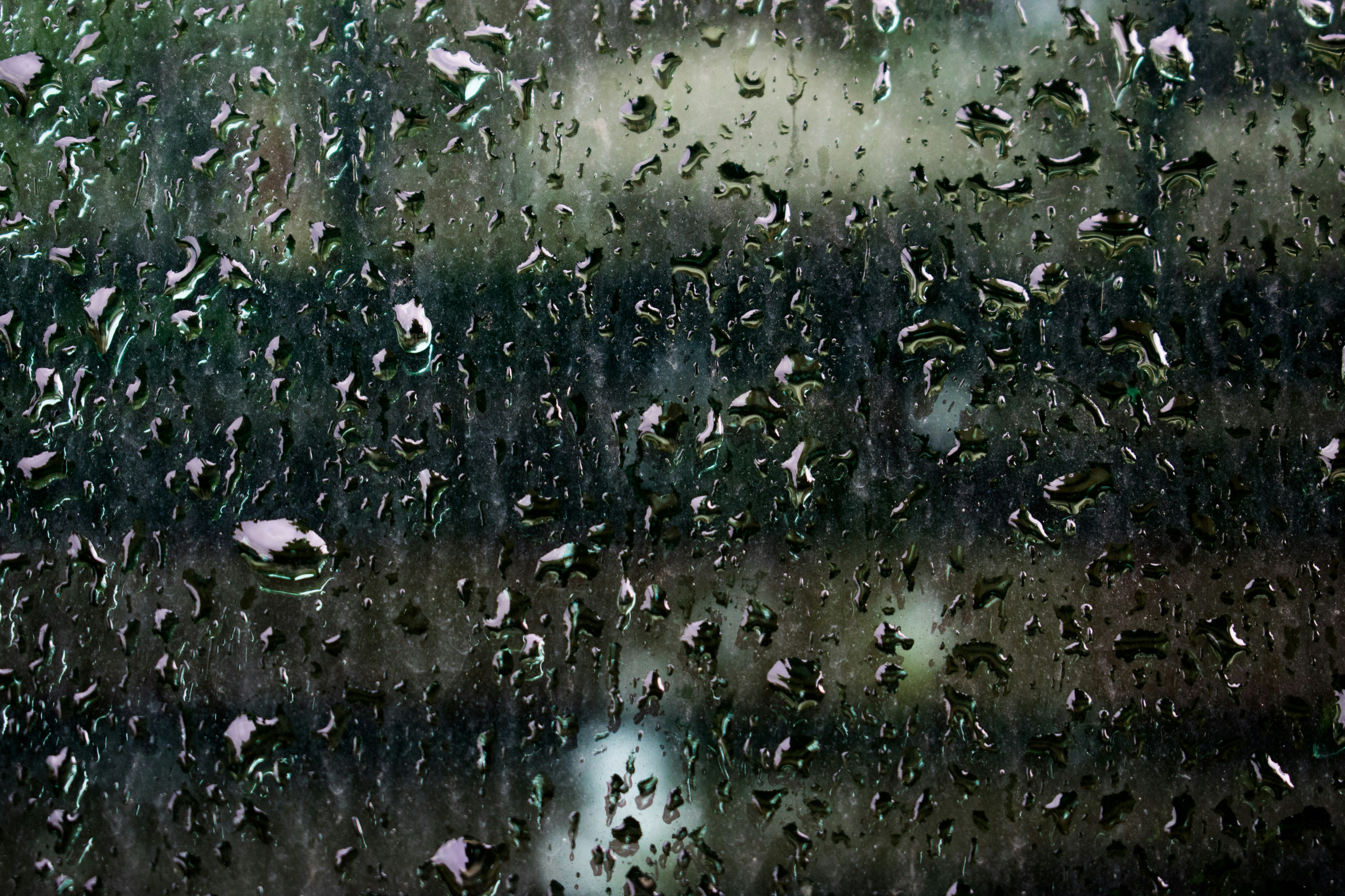 Photo by milavasileva