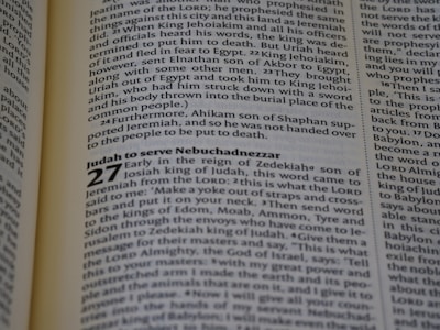Pages from a book written in English, featuring sections of text with chapter headings and verse numbers. The content appears to be scriptural or religious in nature, discussing historical figures and events.