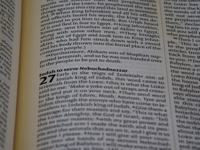 Pages from a book written in English, featuring sections of text with chapter headings and verse numbers. The content appears to be scriptural or religious in nature, discussing historical figures and events.