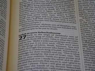 Pages from a book written in English, featuring sections of text with chapter headings and verse numbers. The content appears to be scriptural or religious in nature, discussing historical figures and events.