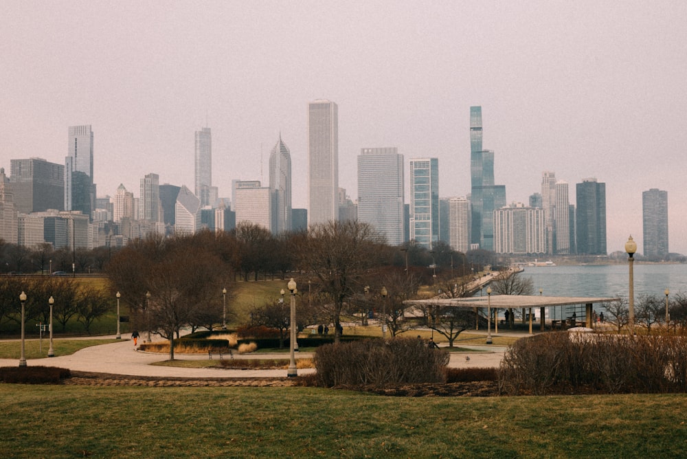 a view of a city skyline from a park