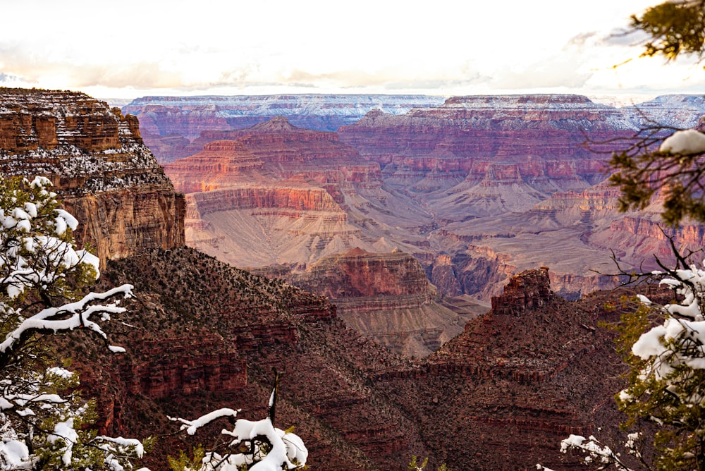 a view of the grand canyon in winter