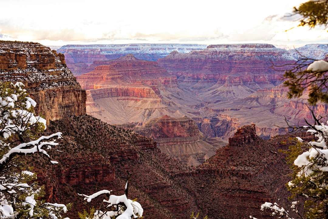 Comparing South and North Rim A