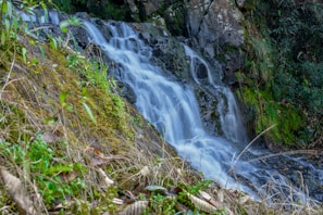 a small waterfall in the middle of a forest