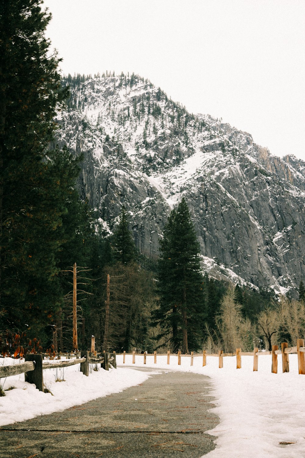 a snow covered mountain is in the distance