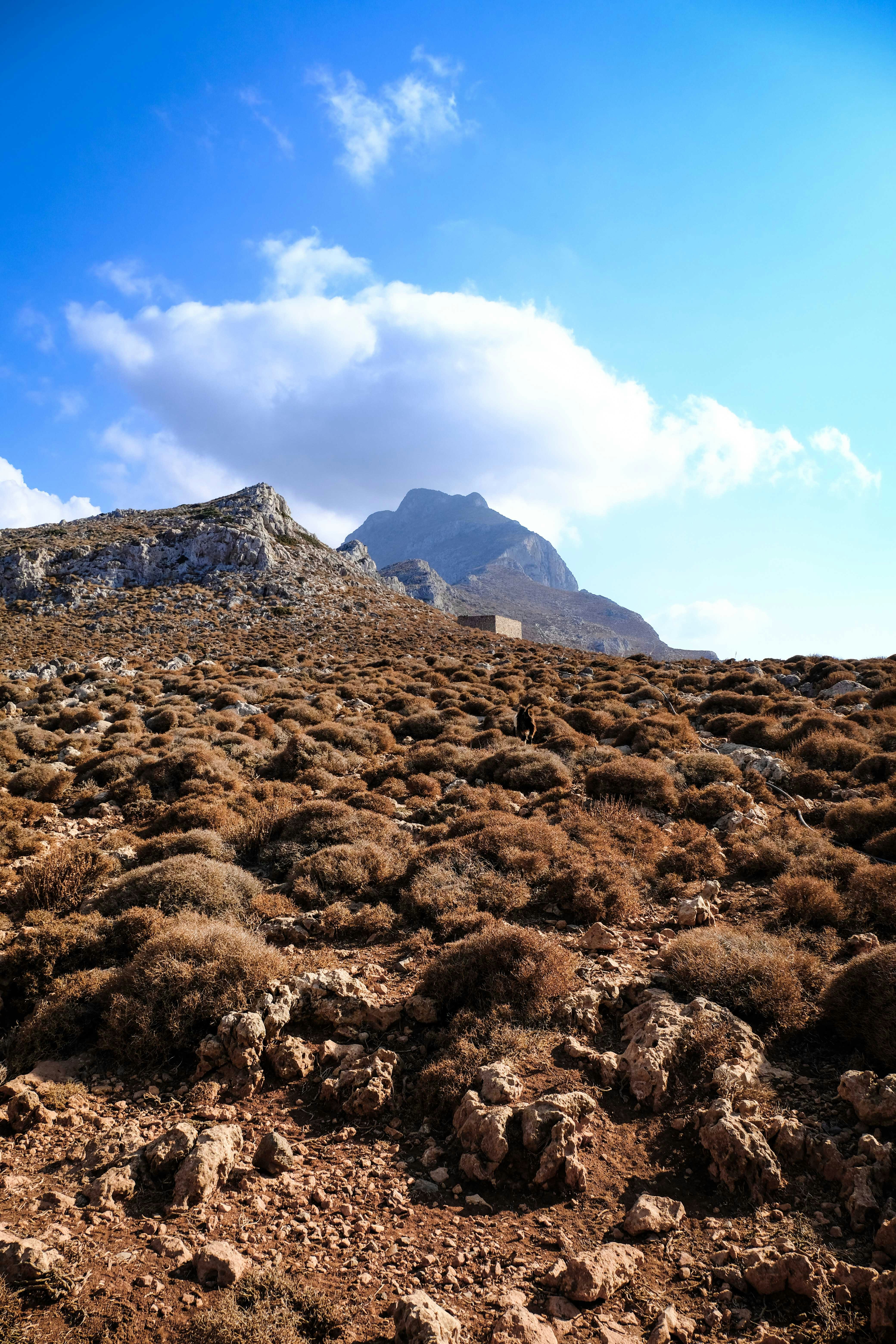 Photo by francesco_ungaro