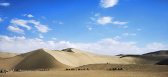 A camel caravan crossing golden dunes under a bright blue sky in the Algerian Sahara.