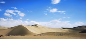 A vast desert landscape with large sand dunes under a bright blue sky. In the foreground, a caravan of camels is led by people, creating a line silhouetted against the desert. The sky is dotted with white clouds, and the light casts gentle shadows on the dunes.